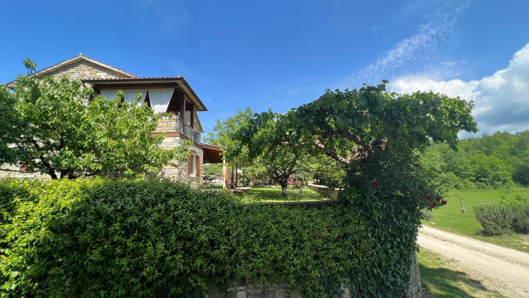 Holiday Home Casa Dei Farfui Momjan Dış mekan fotoğraf